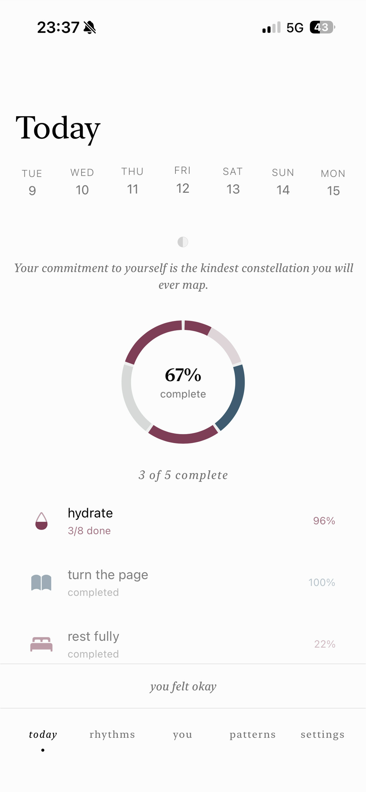 Today view — completion ring and habit list